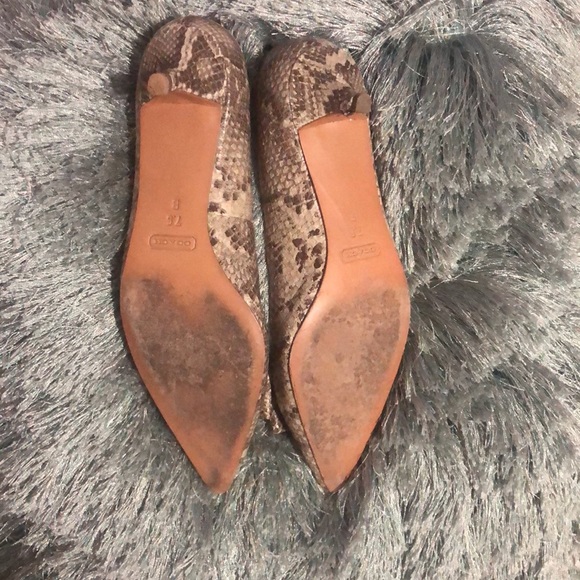 COACH Snake Print Kitten Heels Sz 7.5 - Picture 2 of 8